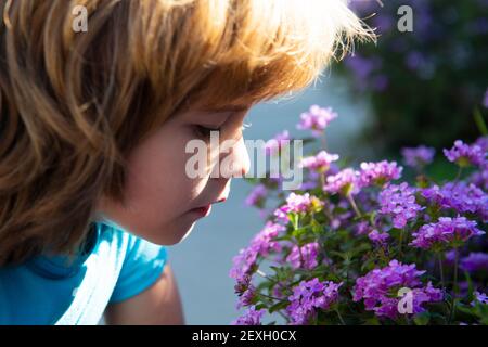 Spring Bloom Boy Spring allergy free kid boy sniffs blooming tree. Cute child in blossom ...