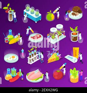 Set of isometric icons with artificial food scientists and laboratory equipment on purple background isolated vector illustration Stock Vector