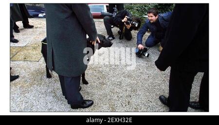 David Blunkett with  new guide dog Sadie at a photocall introducing Sadie to the press.pic David Sandison 24/1/2002 Stock Photo