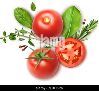 Fresh tomatoes whole and slices realistic composition with basil oregano rosemary herbs aromatic clove spice vector illustration Stock Vector