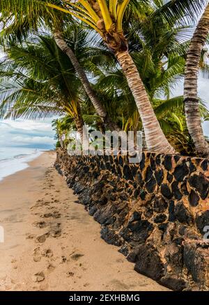 Lava Rock Wall and Palm Trees on Lahaina Beach, Lahaina, Maui, Hawaii, USA Stock Photo