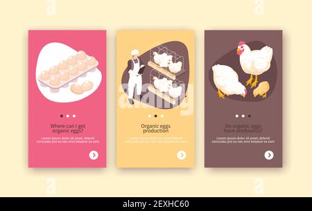 Organic eggs and chicken meat production 3 isometric vertical poultry farm colorful background banners isolated vector illustration Stock Vector