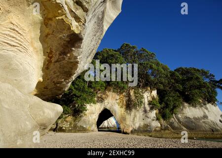 Cathedral Cove on the Coromandel Peninsula in New Zealand's North Island Stock Photo