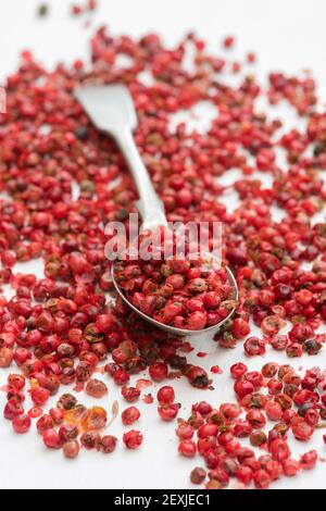 Red peppercorns and spoon on a white background Stock Photo