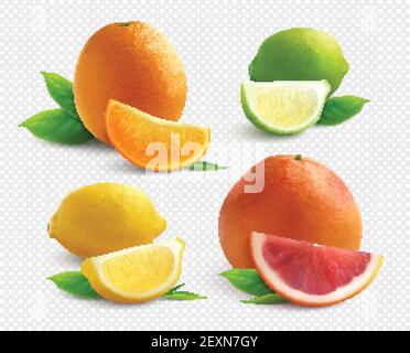 Citrus fruits realistic set with lyme orange lemon and  grapefruit  isolated on transparent background vector illustration Stock Vector