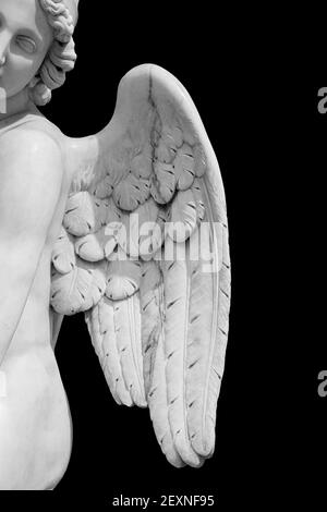 Angel wings isolated on black background with copyspace. Statue of cherub wing close-up Stock Photo