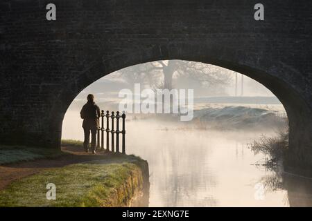 Lone woman silhouette walking under old stone arched bridge on canal walk along tow path footpath into morning sunrise with frost on grass.  Misty Stock Photo