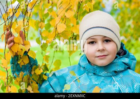 A boy in a birch forest in autumn Stock Photo