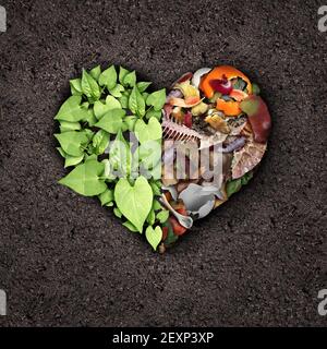 Composting love and compost or composted soil cycle as a composting pile of rotting kitchen scraps with fruits and vegetable garbage waste turning. Stock Photo
