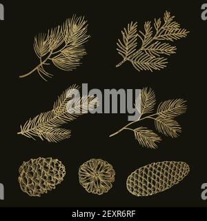 Gold fir branches and cones doodle vector set Stock Vector