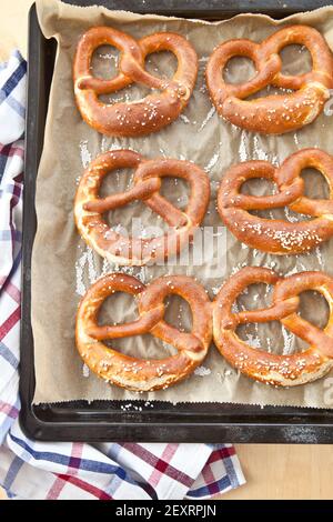Fresh pretzels on baking tray Stock Photo