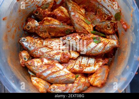 Raw fishes with masala paste and curry tree leaves (Murraya koenigii) for making fish fry in south indian style which is spicy Stock Photo