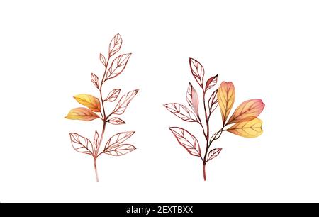 Watercolor floral set. Collection of branches with yellow leaves. Hand painted isolated design. Botanical illustration for autumn greeting cards Stock Photo