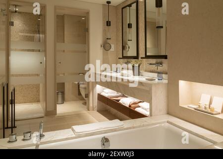 Luxury hotel room bathroom interior