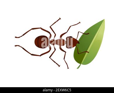 Cute brown ant holding a green leaf cartoon bug animal design vector illustration isolated on white background Stock Vector