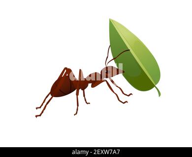 Cute brown ant holding a green leaf cartoon bug animal design vector illustration isolated on white background Stock Vector