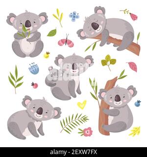Koala bear. Australia animal, baby hugging mom. Isolated koalas on tree, flowers and nature elements. Vector exotic cuddly characters set. Illustration koala australia, wildlife mammal climb to tree Stock Vector