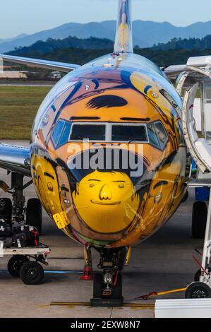 brazil-soccer-team-airplane-