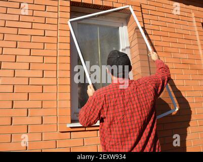 A man is installing a mosquito screen, net, panel insect screen on the window outdoors to protect his house from flies, mosquitoes, and bugs. Stock Photo