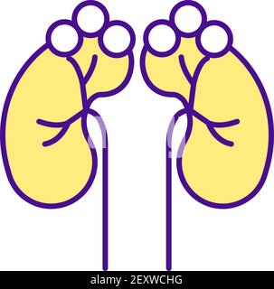 Kidneys RGB color icon Stock Vector