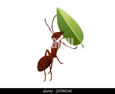 Cute brown ant holding a green leaf cartoon bug animal design vector illustration isolated on white background Stock Vector