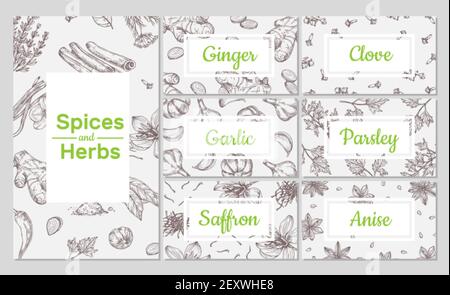 Spices sketch. Hand drawn culinary organic herbs. Ginger and garlic, clove and anise. Vector packaging design, flyers and cards templates. Spice organic herbal, culinary sketch ingredient illustration Stock Vector