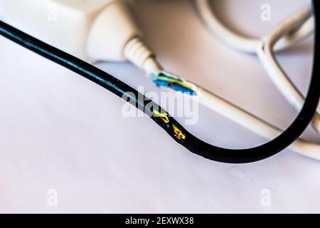 wire cable damaged by rabbit chewing Stock Photo