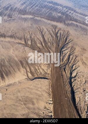 Natural sand pattern on beach, resembling tree. Nature background. Stock Photo