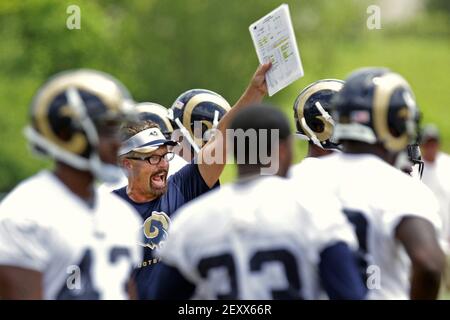 St. Louis Rams defensive coordinator Gregg Williams roams the field during  training camp at the NFL football team's practice facility Tuesday, July  29, 2014, in St. Louis. (AP Photo/Jeff Roberson Stock Photo 