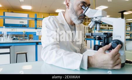 Mature scientist male in his 50s wearing a lab coat looking through a microscope in a laboratory. Basque Country, Spain, Europe. Stock Photo