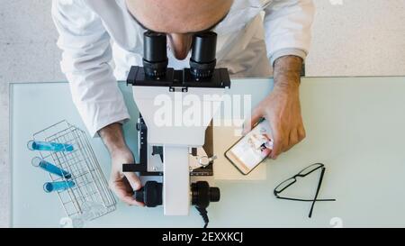 Mature scientist male in his 50s wearing a lab coat looking through a microscope in a laboratory. Basque Country, Spain, Europe. Stock Photo