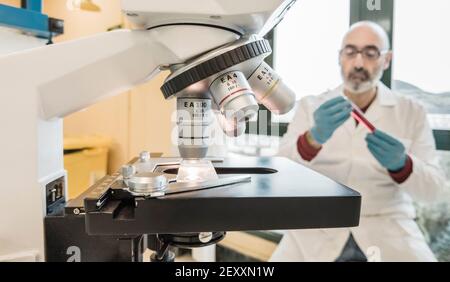 Microscope and male researcher in his 50's in a lab coat with test tubes in a laboratory. Basque Country, Spain, Europe. Stock Photo