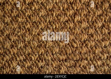 Brown Carpet Texture Stock Photo