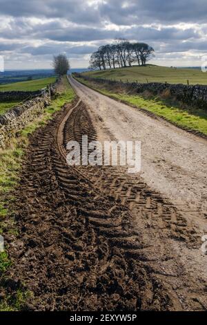 Muddy tractor tracks, Gag Lane, Thorpe, Peak District National Park, Derbyshire Stock Photo