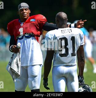 Carolina Panthers' Jason Avant (81) catches a ball during an NFL football  practice at their training camp in Spartanburg, S.C., Monday, July 28,  2014. (AP Photo/Chuck Burton Stock Photo - Alamy