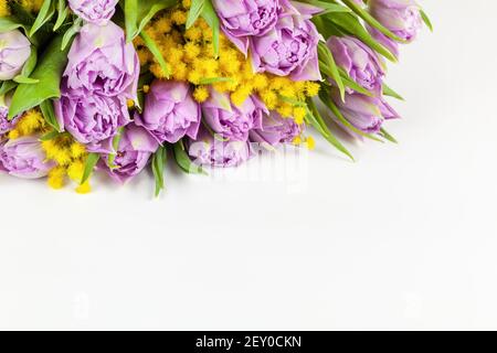 Bouquet of lilac Double Flag tulips, yellow mimosas on white background, copy space, side view, closeup. March 8, February 14, birthday, Valentine's, Stock Photo