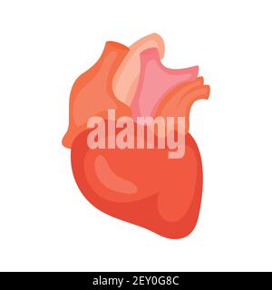 Heart. Icon. Vector illustration isolated on white background. Stock Vector