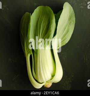 Pak choy plant on a green backdrop. Stock Photo