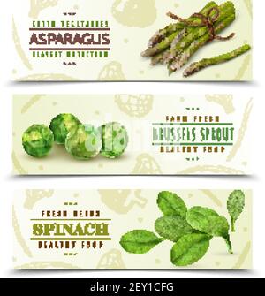 Farm fresh green leafy vegetables 3 realistic horizontal banners set with spinach asparagus brussels sprouts vector illustration Stock Vector