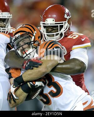 Cincinnati Bengals running back Rex Burkhead (33) runs past Cleveland Browns  defensive back Jim Leonhard (30) for a touchdown in the fourth quarter of  an NFL football game Sunday, Dec. 14, 2014