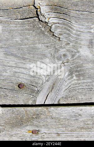 Old natural wood textures Stock Photo