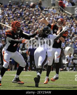 Los Angeles Rams offensive tackle Andrew Whitworth (77) celebrates after  winning the NFL Super Bowl 56 football game against the Cincinnati Bengals,  Sunday, Feb. 13, 2022 in Inglewood, CA. (AP Photo/Tyler Kaufman