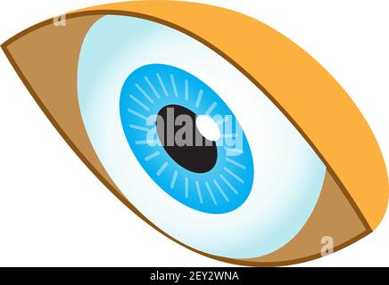 Human eye isometric icon vector. Isometric medical ophthalmologist eyesight sign. 3d human organ symbol. Optical eye. Stock Vector