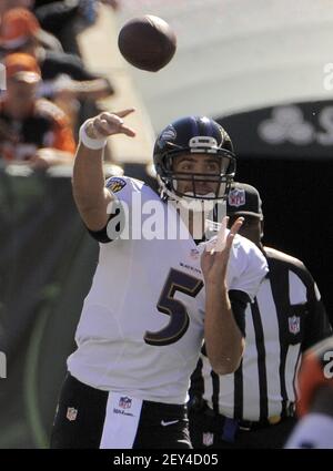 Buffalo Bills defensive tackle Marcell Dareus, center, passes Baltimore  Ravens tackle Michael Oher (74) to sack Ravens quarterback Joe Flacco (5)  during the second quarter at Ralph Wilson Stadium in Orchard Park