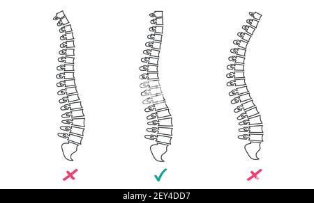 Three spines on the screen. Vector Illustration Doctor Studying Problems Spine Patient. Virtual Reality Glasses Detailed Stock Vector