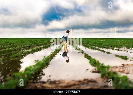 A boy squatting to look at flood waters in a soybean field wind farm Stock Photo
