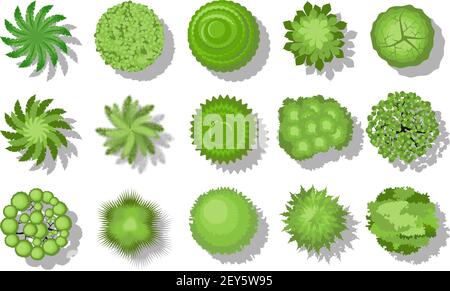 Trees top view. Stock Vector