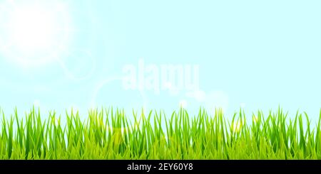 eps vector background template file of panorama green summer grass on lower side with sunbeams for summer or spring designs Stock Vector