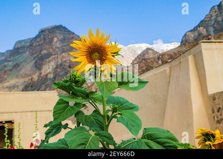 Various views of the Tabo Monastery Stock Photo