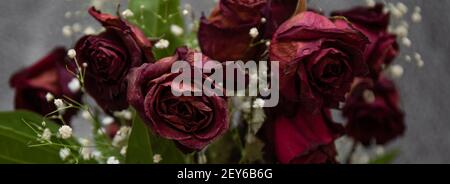Dead Red Roses Stock Photo - Alamy